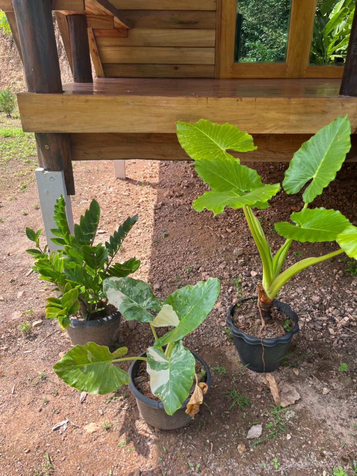 Koh Jum Home Stay Екстериор снимка